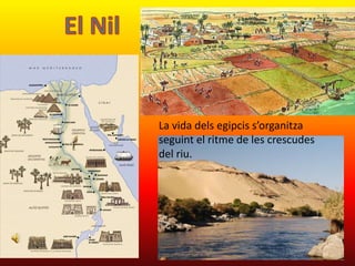 El NilLa vida dels egipcis s’organitza seguint el ritme de les crescudes del riu.