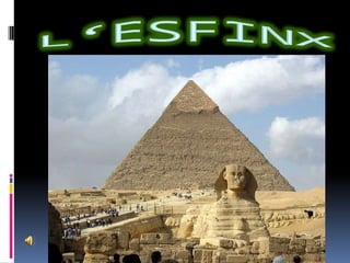 LES TOMBES DE LES VALLS DE LES REINESLA  VALL  DELS  NOBLES