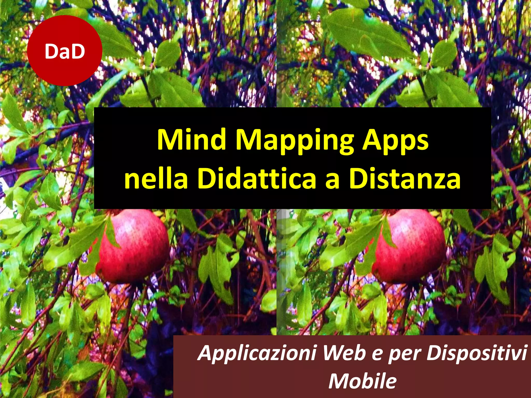 DaD
Applicazioni Web e per Dispositivi
Mobile
Mind Mapping Apps
nella Didattica a Distanza
 