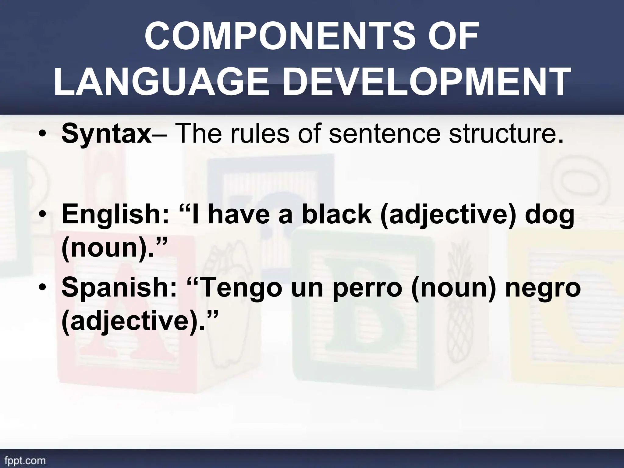 COMPONENTS OF
LANGUAGE DEVELOPMENT
• Syntax– The rules of sentence structure.
• English: “I have a black (adjective) dog
(noun).”
• Spanish: “Tengo un perro (noun) negro
(adjective).”
 