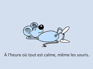 À l'heure où tout est calme, même les souris.  