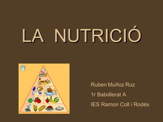 LA  NUTRICIÓ Ruben   Muñoz   Ruz 1r Batxillerat A IES Ramon Coll i Rodés 