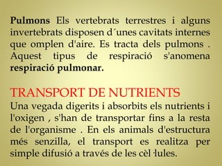 Pulmons Els vertebrats terrestres i alguns
invertebrats disposen d´unes cavitats internes
que omplen d'aire. Es tracta dels pulmons .
Aquest tipus de respiració s'anomena
respiració pulmonar.
TRANSPORT DE NUTRIENTS
Una vegada digerits i absorbits els nutrients i
l'oxigen , s'han de transportar fins a la resta
de l'organisme . En els animals d'estructura
més senzilla, el transport es realitza per
simple difusió a través de les cèl·lules.
 