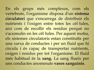 En els grups més complexos, com els
vertebrats, l'organisme disposa d'un sistema
circulatori que s'encarrega de distribuir els
nutrients i l'oxigen entre totes les cèl·lules,
així com de recollir els residus perquè no
s'acumulin en les cèl·lules. Per aquest motiu,
els sistemes circulatoris estan constituïts per
una xarxa de conductes i per un fluid que hi
circula i és capaç de transportar nutrients,
oxigen i residus per tot l'organisme. El fluid
més habitual és la sang. La sang flueix per
uns conductes anomenats vasos sanguinis.
 