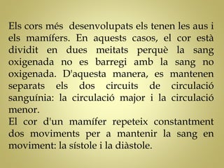 Els cors més desenvolupats els tenen les aus i
els mamífers. En aquests casos, el cor està
dividit en dues meitats perquè la sang
oxigenada no es barregi amb la sang no
oxigenada. D'aquesta manera, es mantenen
separats els dos circuits de circulació
sanguínia: la circulació major i la circulació
menor.
El cor d'un mamífer repeteix constantment
dos moviments per a mantenir la sang en
moviment: la sístole i la diàstole.
 