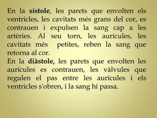 En la sístole, les parets que envolten els
ventricles, les cavitats més grans del cor, es
contrauen i expulsen la sang cap a les
artèries. Al seu torn, les aurícules, les
cavitats més petites, reben la sang que
retorna al cor.
En la diàstole, les parets que envolten les
aurícules es contrauen, les vàlvules que
regulen el pas entre les aurícules i els
ventricles s'obren, i la sang hi passa.
 