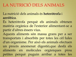 LA NUTRICIÓ DELS ANIMALS
La Գٰܳó dels animals és heteròtrofa i
aeròbica.
És heteròtrofa perquè els animals obtenen
matèria orgànica de l'exterior alimentant-se a
partir d'altres éssers vius.
Aquests aliments són massa grans per a ser
transportats i absorbits per totes les cèl·lules
d'un organisme. Per això els animals efectuen
un procés anomenat digestió,que desfà els
aliments en molècules orgàniques prou
petites perquè puguin arribar a totes les
 