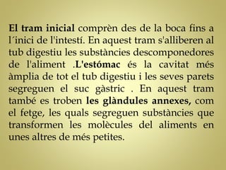 El tram inicial comprèn des de la boca fins a
l´inici de l'intestí. En aquest tram s'alliberen al
tub digestiu les substàncies descomponedores
de l'aliment .L'estómac és la cavitat més
àmplia de tot el tub digestiu i les seves parets
segreguen el suc gàstric . En aquest tram
també es troben les glàndules annexes, com
el fetge, les quals segreguen substàncies que
transformen les molècules del aliments en
unes altres de més petites.
 