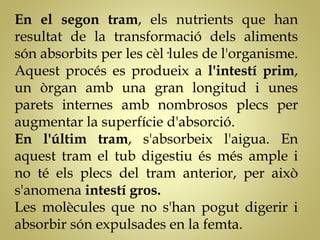 En el segon tram, els nutrients que han
resultat de la transformació dels aliments
són absorbits per les cèl·lules de l'organisme.
Aquest procés es produeix a l'intestí prim,
un òrgan amb una gran longitud i unes
parets internes amb nombrosos plecs per
augmentar la superfície d'absorció.
En l'últim tram, s'absorbeix l'aigua. En
aquest tram el tub digestiu és més ample i
no té els plecs del tram anterior, per això
s'anomena intestí gros.
Les molècules que no s'han pogut digerir i
absorbir són expulsades en la femta.
 