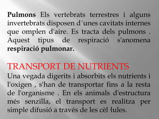 Pulmons Els vertebrats terrestres i alguns
invertebrats disposen d´unes cavitats internes
que omplen d'aire. Es tracta dels pulmons .
Aquest tipus de respiració s'anomena
respiració pulmonar.
TRANSPORT DE NUTRIENTS
Una vegada digerits i absorbits els nutrients i
l'oxigen , s'han de transportar fins a la resta
de l'organisme . En els animals d'estructura
més senzilla, el transport es realitza per
simple difusió a través de les cèl·lules.
 