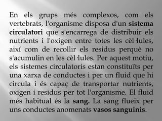 En els grups més complexos, com els
vertebrats, l'organisme disposa d'un sistema
circulatori que s'encarrega de distribuir els
nutrients i l'oxigen entre totes les cèl·lules,
així com de recollir els residus perquè no
s'acumulin en les cèl·lules. Per aquest motiu,
els sistemes circulatoris estan constituïts per
una xarxa de conductes i per un fluid que hi
circula i és capaç de transportar nutrients,
oxigen i residus per tot l'organisme. El fluid
més habitual és la sang. La sang flueix per
uns conductes anomenats vasos sanguinis.
 