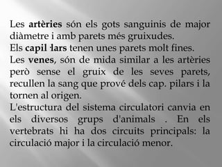Les artèries són els gots sanguinis de major
diàmetre i amb parets més gruixudes.
Els capil·lars tenen unes parets molt fines.
Les venes, són de mida similar a les artèries
però sense el gruix de les seves parets,
recullen la sang que prové dels cap. pilars i la
tornen al origen.
L'estructura del sistema circulatori canvia en
els diversos grups d'animals . En els
vertebrats hi ha dos circuits principals: la
circulació major i la circulació menor.
 