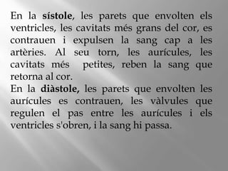 En la sístole, les parets que envolten els
ventricles, les cavitats més grans del cor, es
contrauen i expulsen la sang cap a les
artèries. Al seu torn, les aurícules, les
cavitats més petites, reben la sang que
retorna al cor.
En la diàstole, les parets que envolten les
aurícules es contrauen, les vàlvules que
regulen el pas entre les aurícules i els
ventricles s'obren, i la sang hi passa.
 
