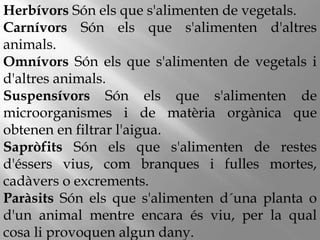 Herbívors Són els que s'alimenten de vegetals.
Carnívors Són els que s'alimenten d'altres
animals.
Omnívors Són els que s'alimenten de vegetals i
d'altres animals.
Suspensívors Són els que s'alimenten de
microorganismes i de matèria orgànica que
obtenen en filtrar l'aigua.
Sapròfits Són els que s'alimenten de restes
d'éssers vius, com branques i fulles mortes,
cadàvers o excrements.
Paràsits Són els que s'alimenten d´una planta o
d'un animal mentre encara és viu, per la qual
cosa li provoquen algun dany.
 