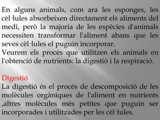 En alguns animals, com ara les esponges, les
cèl·lules absorbeixen directament els aliments del
medi, però la majoria de les espècies d'animals
necessiten transformar l'aliment abans que les
seves cèl·lules el puguin incorporar.
Veurem els procés que utilitzen els animals en
l'obtenció de nutrients: la digestió i la respiració.
Digestió
La digestió és el procés de descomposició de les
molècules orgàniques de l'aliment en nutrients
,altres molècules més petites que puguin ser
incorporades i utilitzades per les cèl·lules.
 