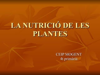 LA NUTRICIÓ DE LES PLANTES CEIP MOGENT 4t primària 