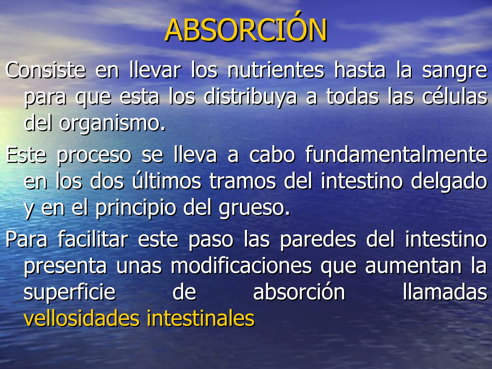 ABSORCIÓN Consiste en llevar los nutrientes hasta la sangre para que esta los distribuya a todas las células del organismo. Este proceso se lleva a cabo fundamentalmente en los dos últimos tramos del intestino delgado y en el principio del grueso. Para facilitar este paso las paredes del intestino presenta unas modificaciones que aumentan la superficie de absorción llamadas  vellosidades intestinales 