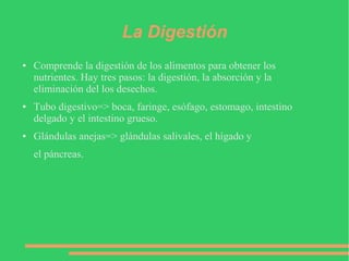 La Digestión
● Comprende la digestión de los alimentos para obtener los
nutrientes. Hay tres pasos: la digestión, la absorción y la
eliminación del los desechos.
● Tubo digestivo=> boca, faringe, esófago, estomago, intestino
delgado y el intestino grueso.
● Glándulas anejas=> glándulas salivales, el hígado y
el páncreas.
 