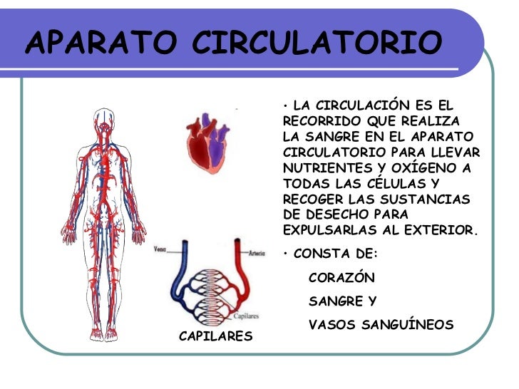 La nutrición humana