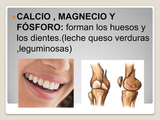  CALCIO  , MAGNECIO Y
FÓSFORO: forman los huesos y
los dientes.(leche queso verduras
,leguminosas)
 