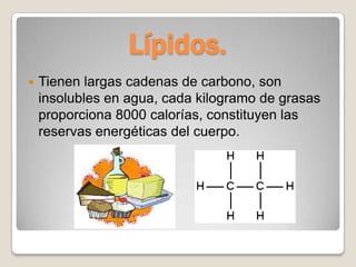 Lípidos.
   Tienen largas cadenas de carbono, son
    insolubles en agua, cada kilogramo de grasas
    proporciona 8000 calorías, constituyen las
    reservas energéticas del cuerpo.
 