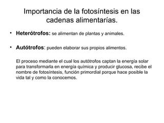 Importancia de la fotosíntesis en las
cadenas alimentarías.
• Heterótrofos: se alimentan de plantas y animales.
• Autótrofos: pueden elaborar sus propios alimentos.
El proceso mediante el cual los autótrofos captan la energía solar
para transformarla en energía química y producir glucosa, recibe el
nombre de fotosíntesis, función primordial porque hace posible la
vida tal y como la conocemos.
 