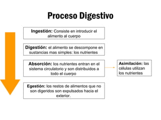 Proceso Digestivo
Ingestión: Consiste en introducir el
alimento al cuerpo
Digestión: el alimento se descompone en
sustancias mas simples: los nutrientes
Absorción: los nutrientes entran en el
sistema circulatorio y son distribuidos a
todo el cuerpo
Egestión: los restos de alimentos que no
son digeridos son expulsados hacia el
exterior.
Asimilación: las
células utilizan
los nutrientes
 