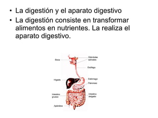 • La digestión y el aparato digestivo
• La digestión consiste en transformar
alimentos en nutrientes. La realiza el
aparato digestivo.

 
