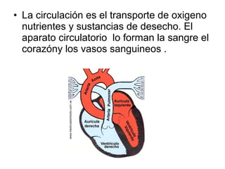 • La circulación es el transporte de oxigeno
nutrientes y sustancias de desecho. El
aparato circulatorio lo forman la sangre el
corazóny los vasos sanguineos .

 