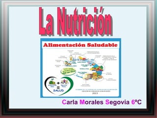 Carla Morales Segovia 6ºC

 