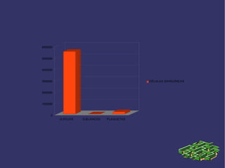 6000000

5000000

4000000

CÉLULAS SANGUÍNEAS

3000000

2000000

1000000

0
G .ROJOS

G .BLANCOS

PLAQUETAS

 