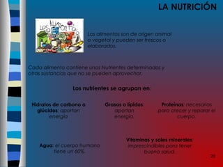 20
LA NUTRICIÓN
Los alimentos son de origen animal
o vegetal y pueden ser frescos o
elaborados.
Cada alimento contiene unos Nutrientes determinados y
otras sustancias que no se pueden aprovechar.
Los nutrientes se agrupan en:
Hidratos de carbono o
glúcidos: aportan
energía
Grasas o lípidos:
aportan
energía.
Proteínas: necesarias
para crecer y reparar el
cuerpo.
Agua: el cuerpo humano
tiene un 60%.
Vitaminas y sales minerales:
imprescindibles para tener
buena salud.
 