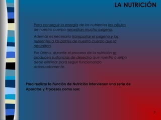 3
LA NUTRICIÓN
Para conseguir la energía de los nutrientes las células
de nuestro cuerpo necesitan mucho oxígeno.
Además es necesario transportar el oxígeno y los
nutrientes a las partes de nuestro cuerpo que la
necesitan.
Por último, durante el proceso de la nutrición se
producen sustancias de desecho que nuestro cuerpo
debe eliminar para seguir funcionando
adecuadamente.
Para realizar la Función de Nutrición intervienen una serie de
Aparatos y Procesos como son:
 