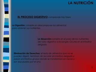 5
LA NUTRICIÓN
EL PROCESO DIGESTIVO comprende tres fases:
La Absorción:consiste en el paso de los nutrientes
del tubo digestivo a la sangre. Ocurre en el intestino
delgado.
Eliminación de Desechos: el resto de alimentos que no se
pueden digerir, terminan de recorrer el intestino delgado y
pasan al intestino grueso donde se transforman en heces y
son expulsados por el ano.
La Digestión: consiste en descomponer los alimentos
para obtener sus nutrientes.
 