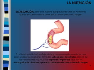 8
LA NUTRICIÓN
LA ABSORCIÓN: para que nuestro cuerpo pueda usar los nutrientes
que se encuentran en el quilo, éstos deben pasar a la sangre.
En el interior del intestino delgado hay numerosos pliegues de los que
salen unas prolongaciones llamadas vellosidades intestinales. Dentro de
las vellosidades hay muchos capilares sanguíneos, que son los
encargados de absorber y pasar los nutrientes del quimo hasta la sangre.
 