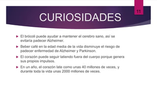 CURIOSIDADES
 El brócoli puede ayudar a mantener el cerebro sano, así se
evitaría padecer Alzheimer.
 Beber café en la edad media de la vida disminuye el riesgo de
padecer enfermedad de Alzheimer y Parkinson.
 El corazón puede seguir latiendo fuera del cuerpo porque genera
sus propios impulsos.
 En un año, el corazón late como unas 40 millones de veces, y
durante toda la vida unas 2000 millones de veces.
11
 