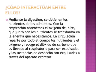 Mediante la digestión, se obtienen los
nutrientes de los alimentos. Con la
respiración obtenemos el oxígeno del aire,
que junto con los nutrientes se transforma en
la energía que necesitamos. La circulación
reparte por todo el cuerpo los nutrientes y el
oxígeno y recoge el dióxido de carbono que
es llevado al respiratorio para ser expulsado,
y las sustancias de deshecho son expulsadas a
través del aparato excretor-
 