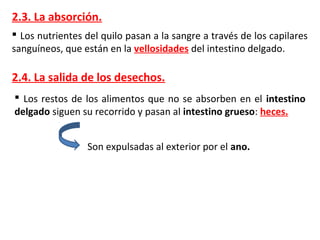 2.3. La absorción.
 Los nutrientes del quilo pasan a la sangre a través de los capilares
sanguíneos, que están en la vellosidades del intestino delgado.
2.4. La salida de los desechos.
 Los restos de los alimentos que no se absorben en el intestino
delgado siguen su recorrido y pasan al intestino grueso: heces.
Son expulsadas al exterior por el ano.
 