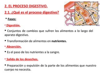 2. EL PROCESO DIGESTIVO.
2.1. ¿Qué es el proceso digestivo?
* Fases:
• Digestión.
 Conjuntos de cambios que sufren los alimentos a lo largo del
aparato digestivo.
 Transformación de alimentos en nutrientes.
• Absorción.
 Es el paso de los nutrientes a la sangre.
• Salida de los desechos.
 Preparación y expulsión de la parte de los alimentos que nuestro
cuerpo no necesita.
 