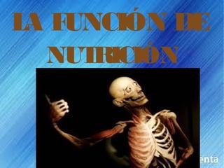 L F
 A UNCIÓN DE
  NUTRICIÓN
 