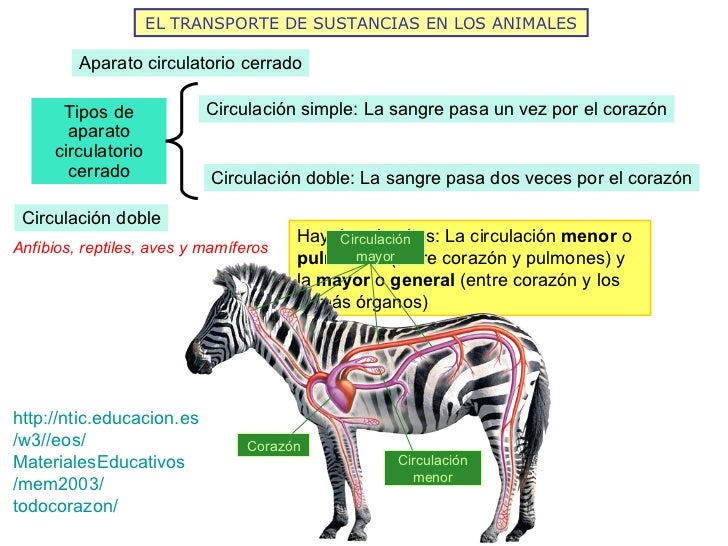 La nutrición 2011