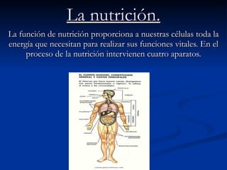 La nutrición. La función de nutrición proporciona a nuestras células toda la energía que necesitan para realizar sus funciones vitales. En el proceso de la nutrición intervienen cuatro aparatos. 