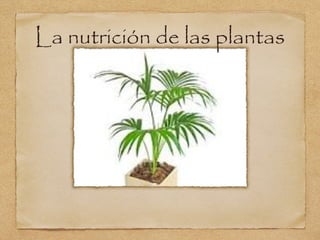 La nutrición de las plantas

 