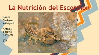 La Nutrición del Escorpión
Javier
Galdeano
Rodríguez
Antonio
Segovia
Torrente
2ºA
 
