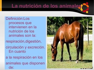 La nutrición de los animales ,[object Object]