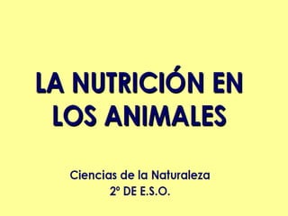 La nutrición de los animales