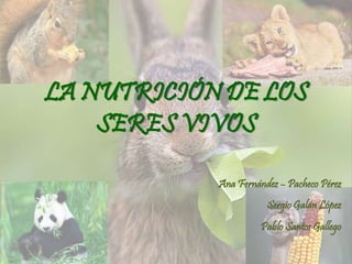 LA NUTRICIÓN DE LOS
SERES VIVOS
Ana Fernández – Pacheco Pérez
Sergio Galán López
Pablo Santos Gallego
 
