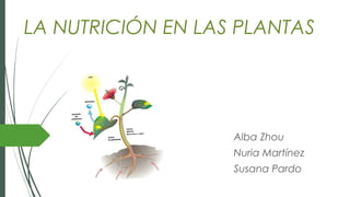 LA NUTRICIÓN EN LAS PLANTAS
Alba Zhou
Nuria Martínez
Susana Pardo
 