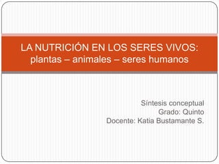 LA NUTRICIÓN EN LOS SERES VIVOS:
  plantas – animales – seres humanos



                           Síntesis conceptual
                                Grado: Quinto
                 Docente: Katia Bustamante S.
 