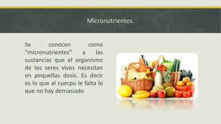 Micronutrientes.
Se conocen como
"micronutrientes" a las
sustancias que el organismo
de los seres vivos necesitan
en pequeñas dosis. Es decir
es lo que al cuerpo le falta lo
que no hay demasiado
 